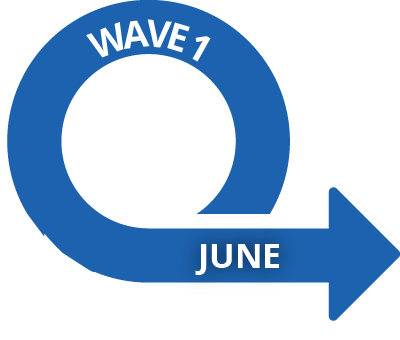 wave 1 June 2020