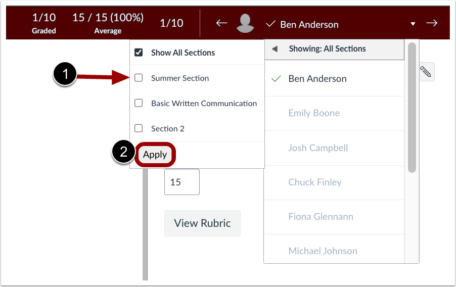 Graphical schemata of SpeedGrader filter being used.